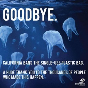 Goodbye - Bag Ban