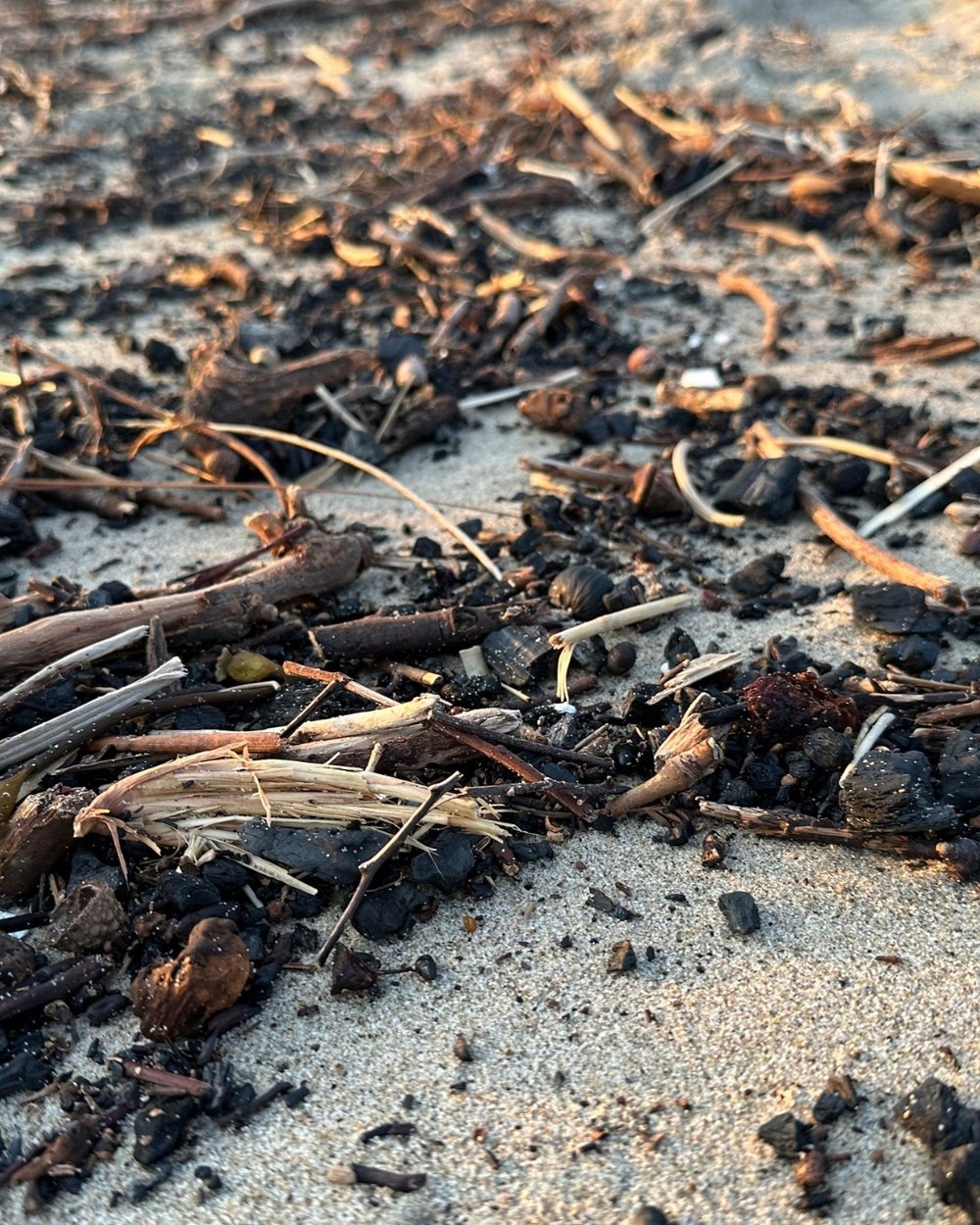 Black ash and fire debris on the sand.