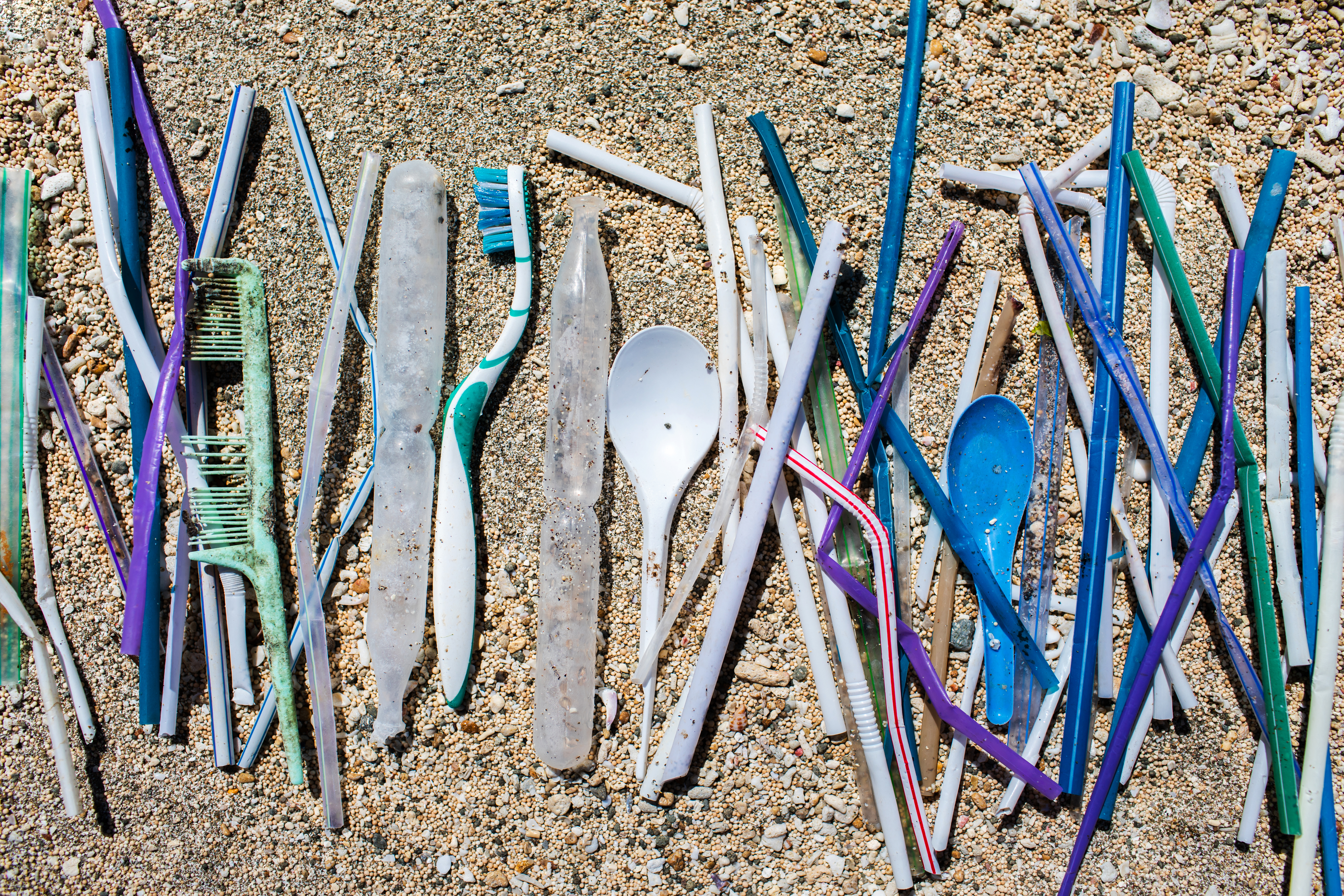 Strengthen the Plastic Ordinance in Folly Beach